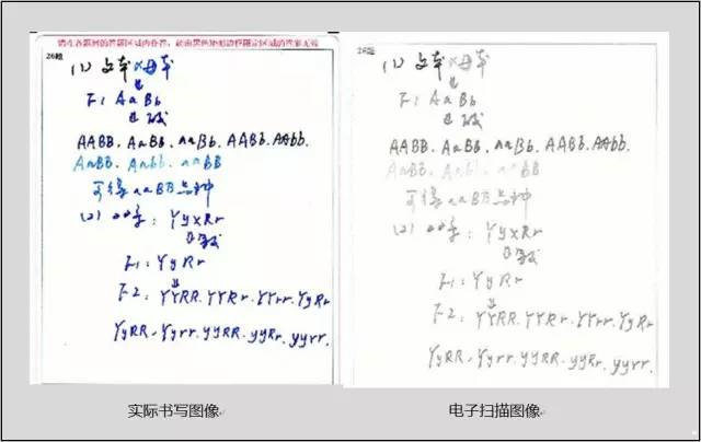 中高考電腦閱卷流程這樣的!讀完可多拿20分(轉給考生,這對他們有用)