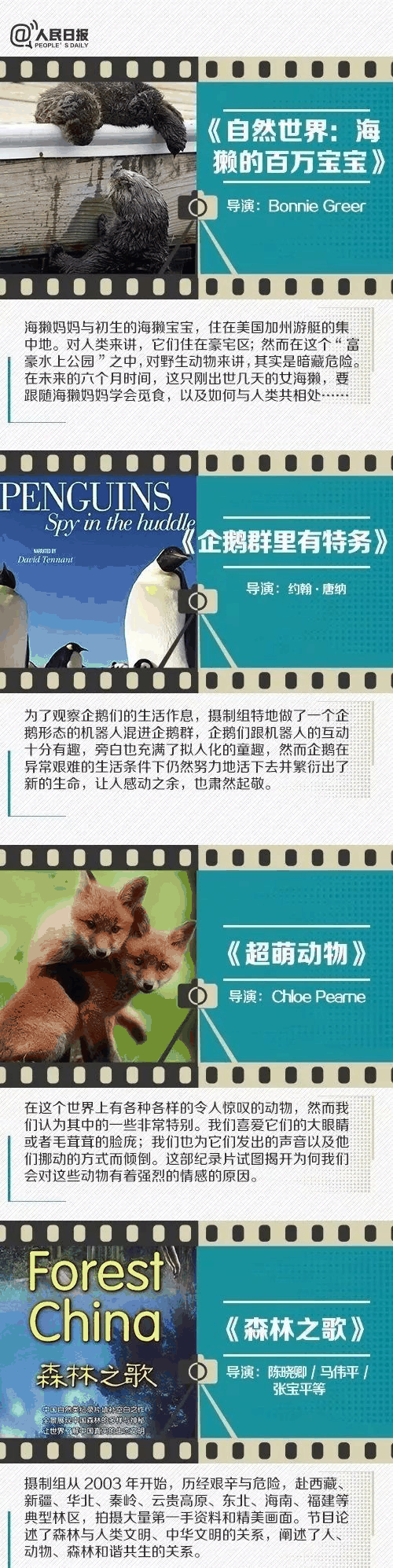 人民日報推薦！小長假陪孩子看這些紀錄片，勝過出門玩五天