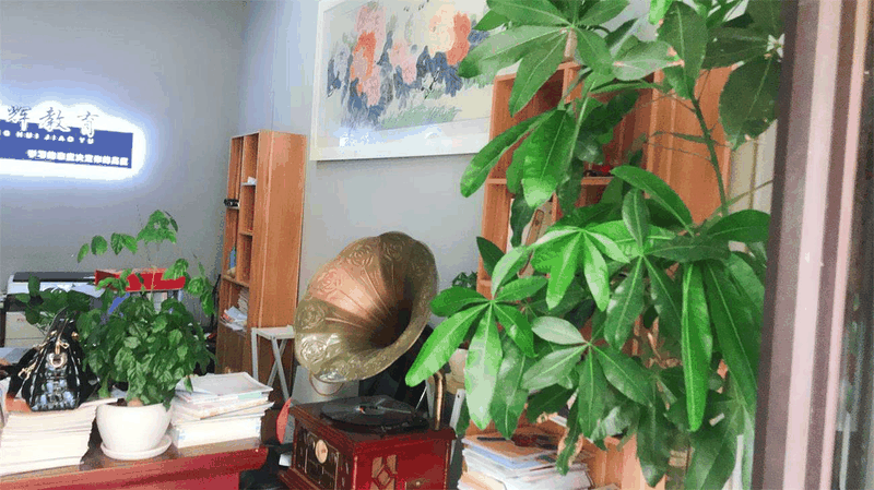 百年教育強勢進駐云陽，著力打造教育培訓事業(yè)新高地！