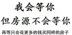 遲遲買不上房，因為軍師太多！5層以下嫌矮，