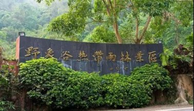 百年人“金秋之約”七彩云南公費旅游（之二）