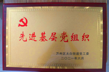集團(tuán)黨支部回報(bào)社會(huì)，努力踐行社會(huì)責(zé)任與擔(dān)當(dāng)
